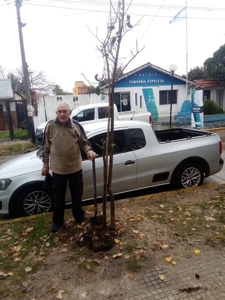 Programa de forestación y cuidado ambiental